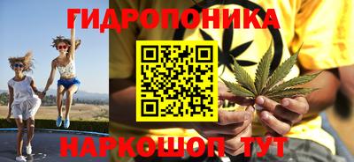 ПСИЛОЦИБИНОВЫЕ ГРИБЫ Кингисепп
