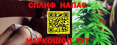 СК Шелехов