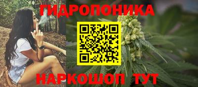 трава Кинель