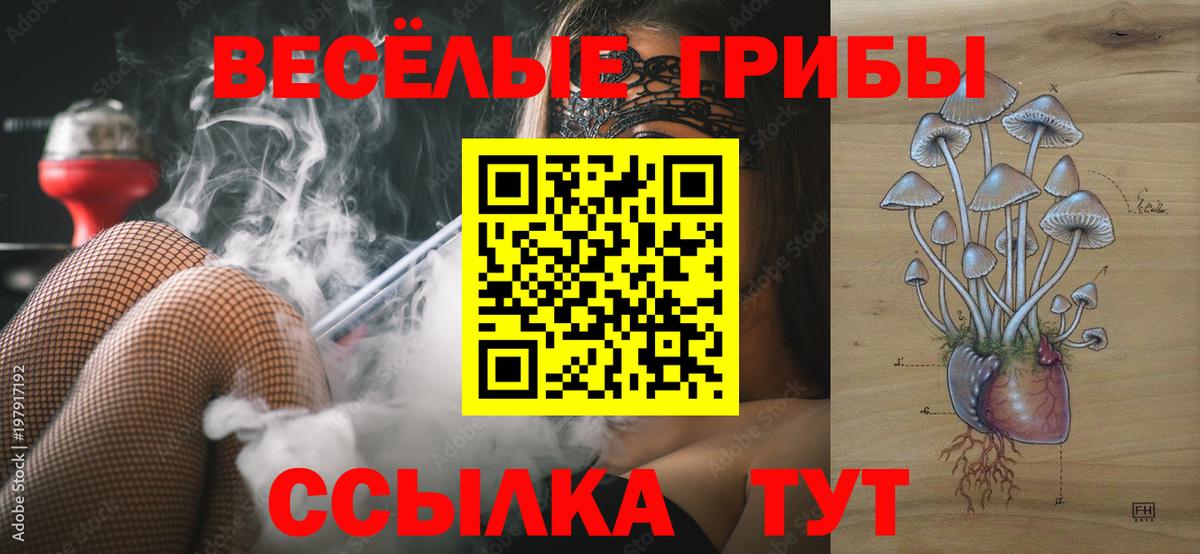 Коряжма  Галлюциногенные грибы мухоморы  Вход с VPN 