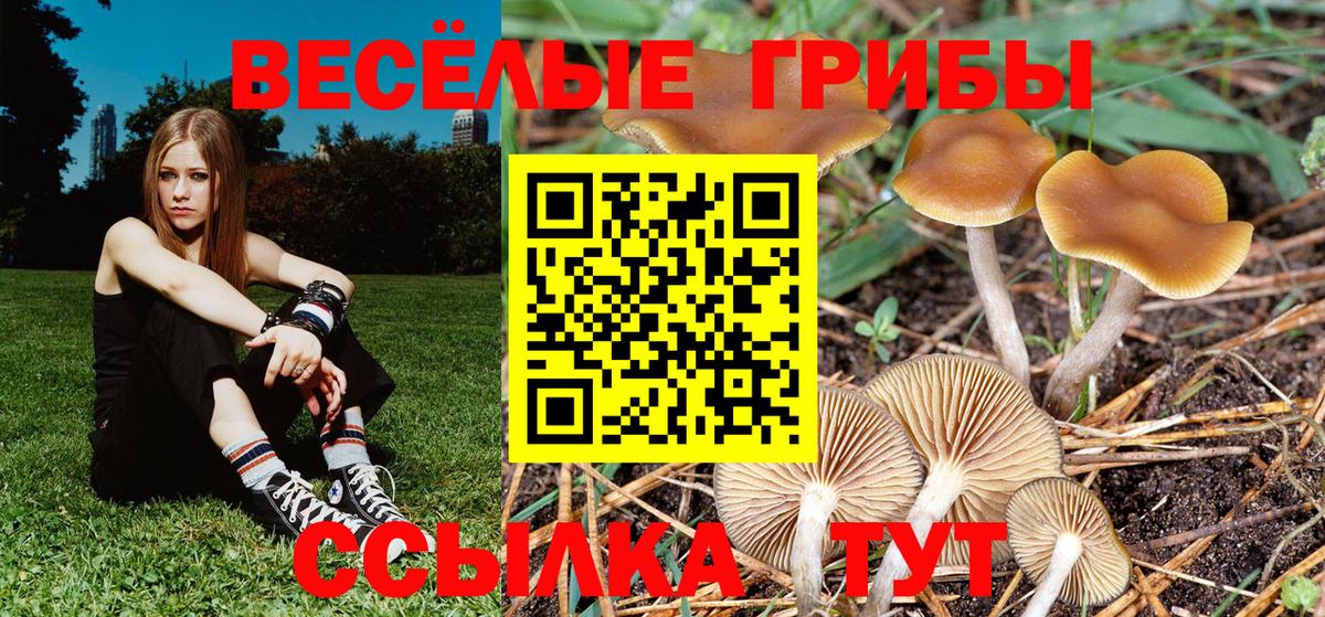 Галлюциногенные грибы мицелий Коряжма